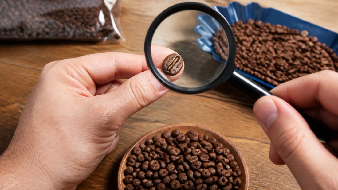 How to Tell If Coffee Beans Are Fresh: 7 Signs